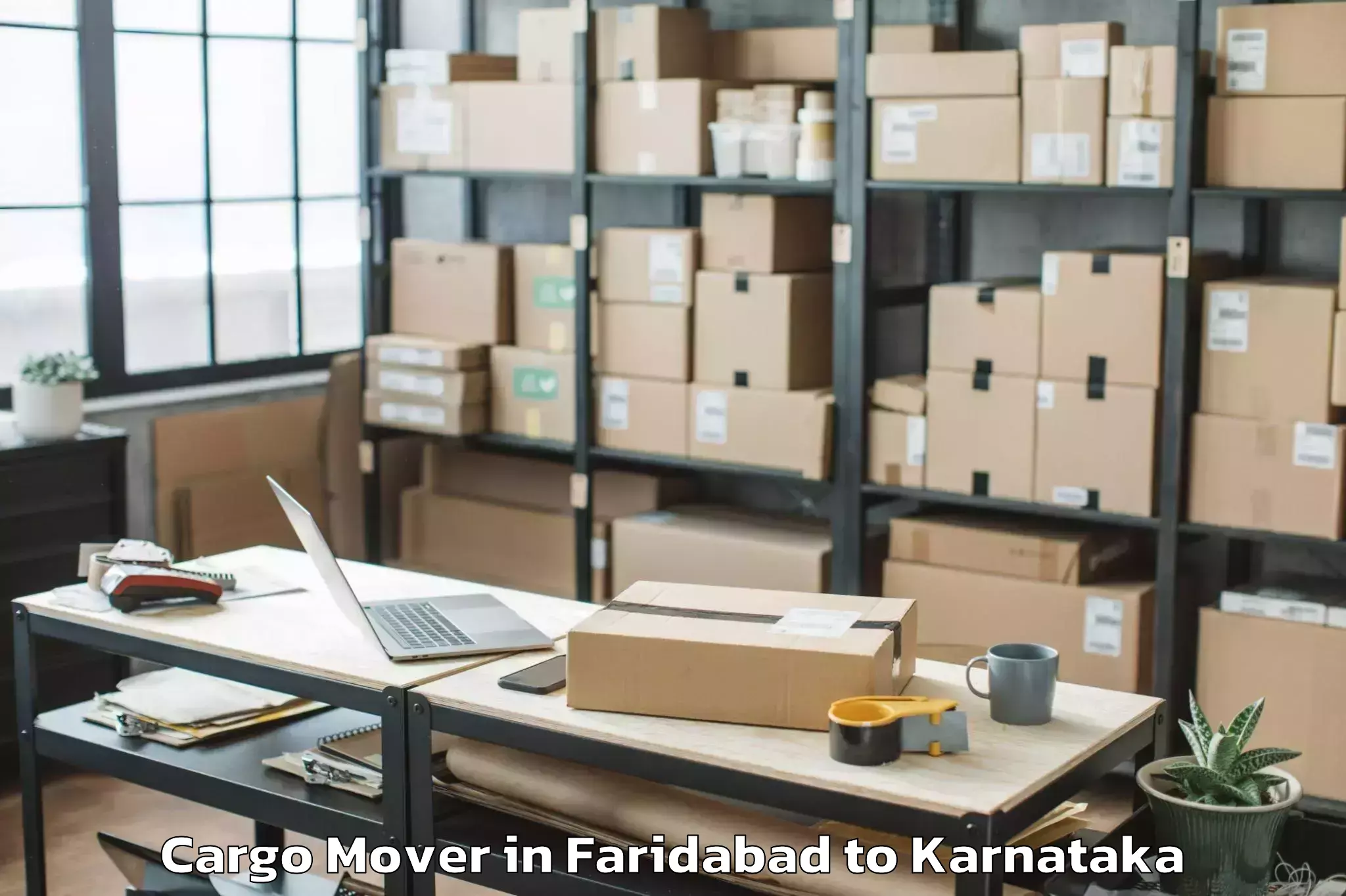 Trusted Faridabad to Kadur Cargo Mover